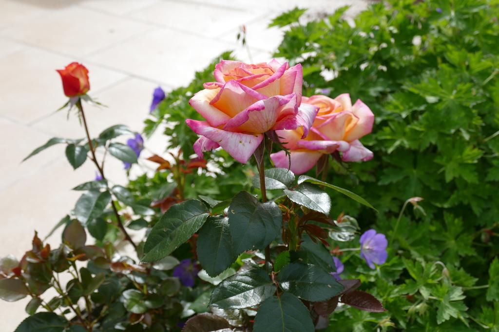 Le Clos Des Perraudieres กูร์-เชอแวร์นี ภายนอก รูปภาพ