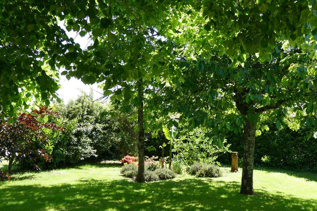 Le Clos Des Perraudieres กูร์-เชอแวร์นี ภายนอก รูปภาพ