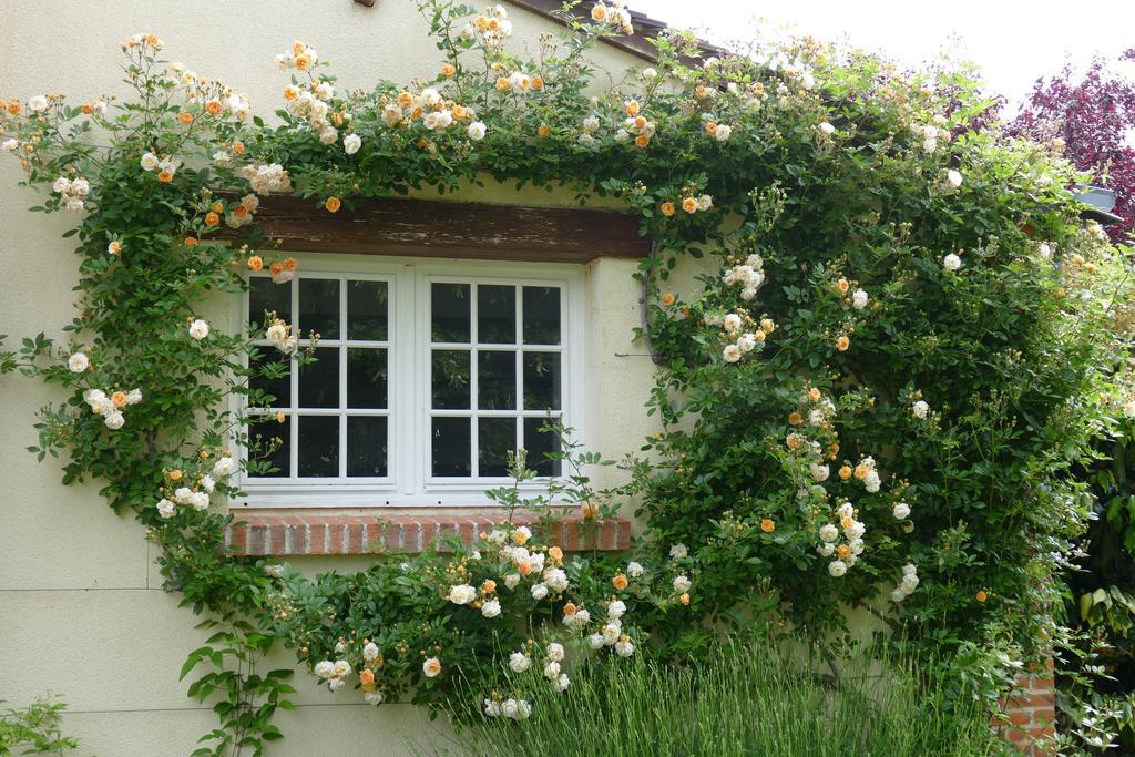 Le Clos Des Perraudieres กูร์-เชอแวร์นี ภายนอก รูปภาพ